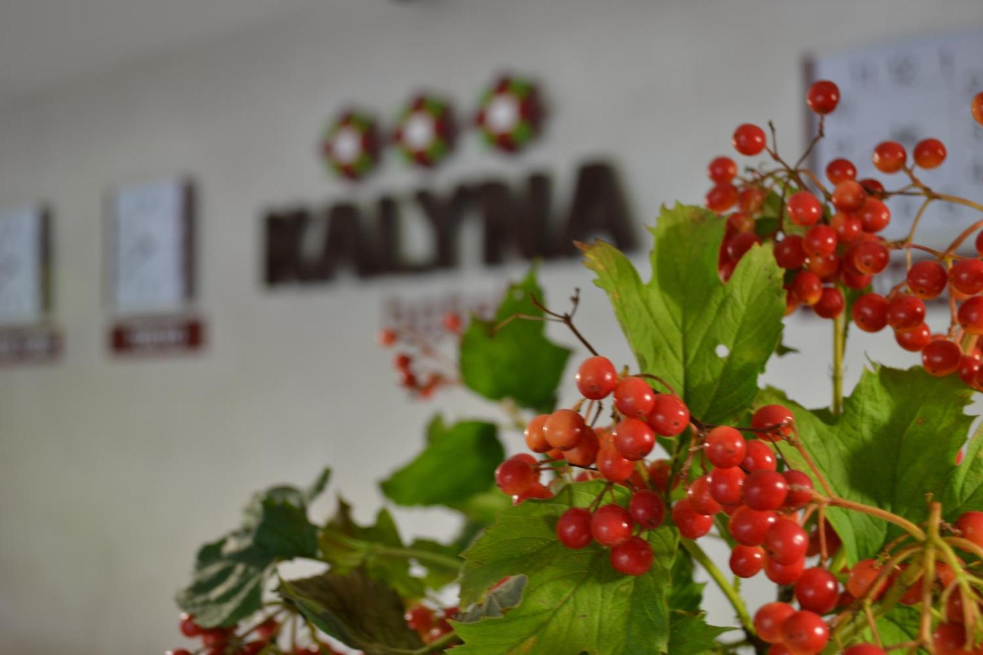 Hotel Kalyna Charkiv Esterno foto